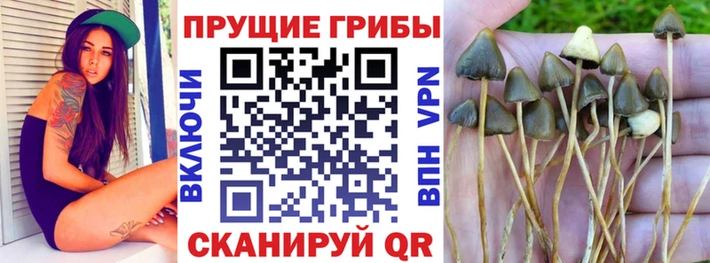 Галлюциногенные грибы прущие грибы  Анадырь 